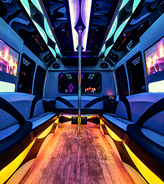 18 passenger party bus interior