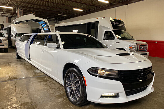 10 passenger dodge limo interior