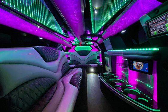 10 passenger dodge limo interior 1