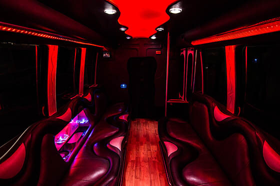14 passenger bus interior 2