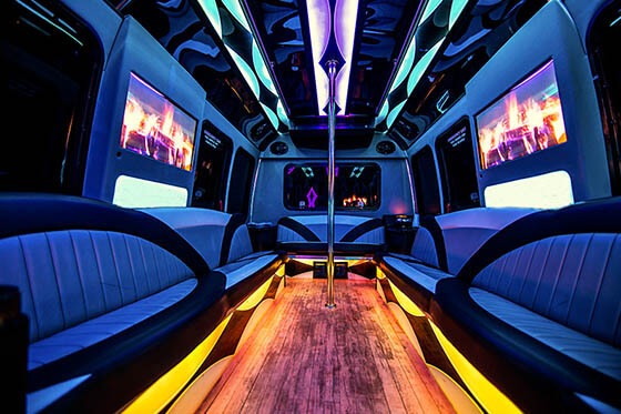 18 passenger bus interior 1
