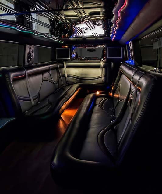 1limousine service