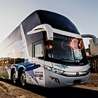 charter bus